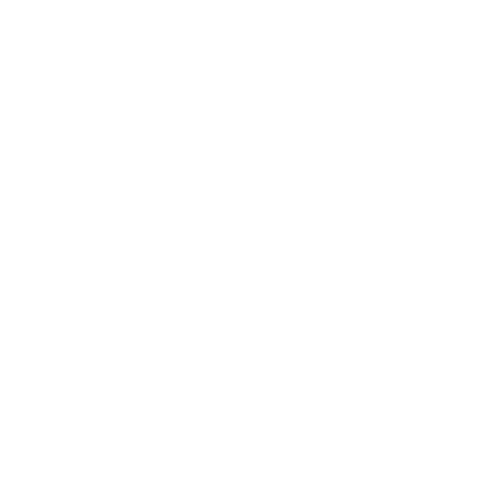 TikTok Patrice Lafforgue
